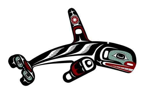 Vector Drawing: Orca